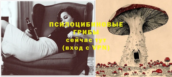 крисы Белоозёрский